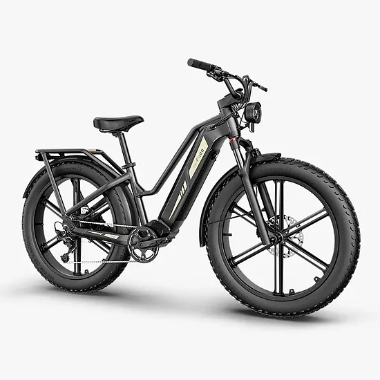 ENGWE P20 36V 9.6Ah Samsung Black